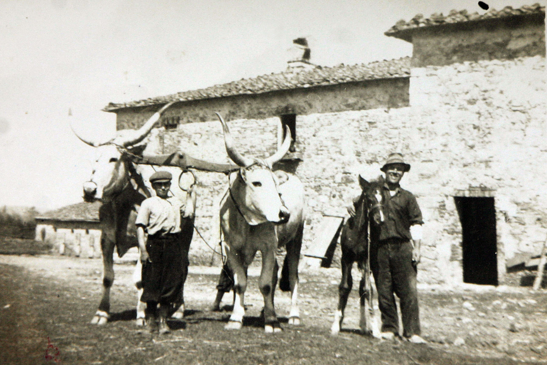 Borgo Santo Pietro - Our History