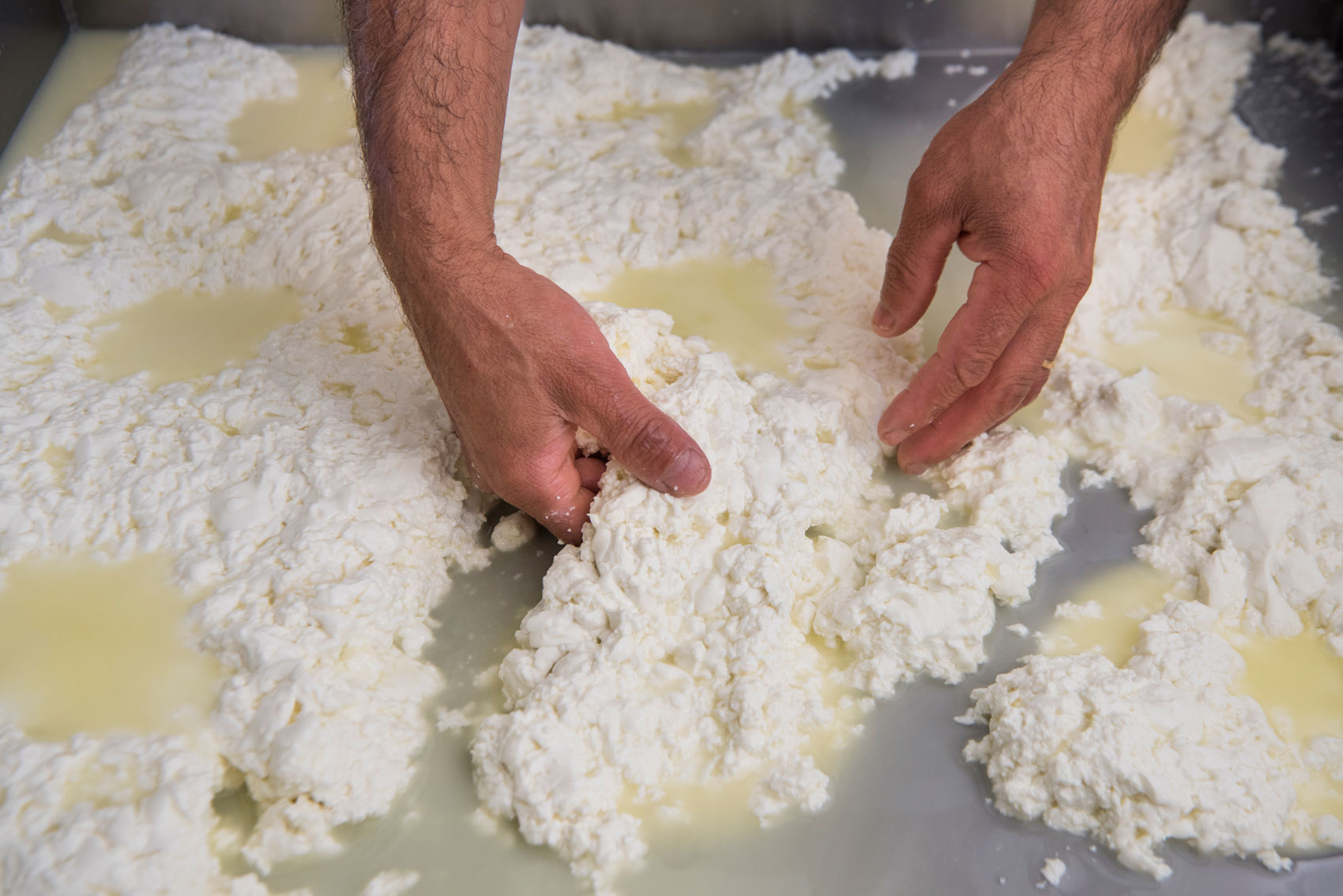 Borgo Santo Pietro - Hands on