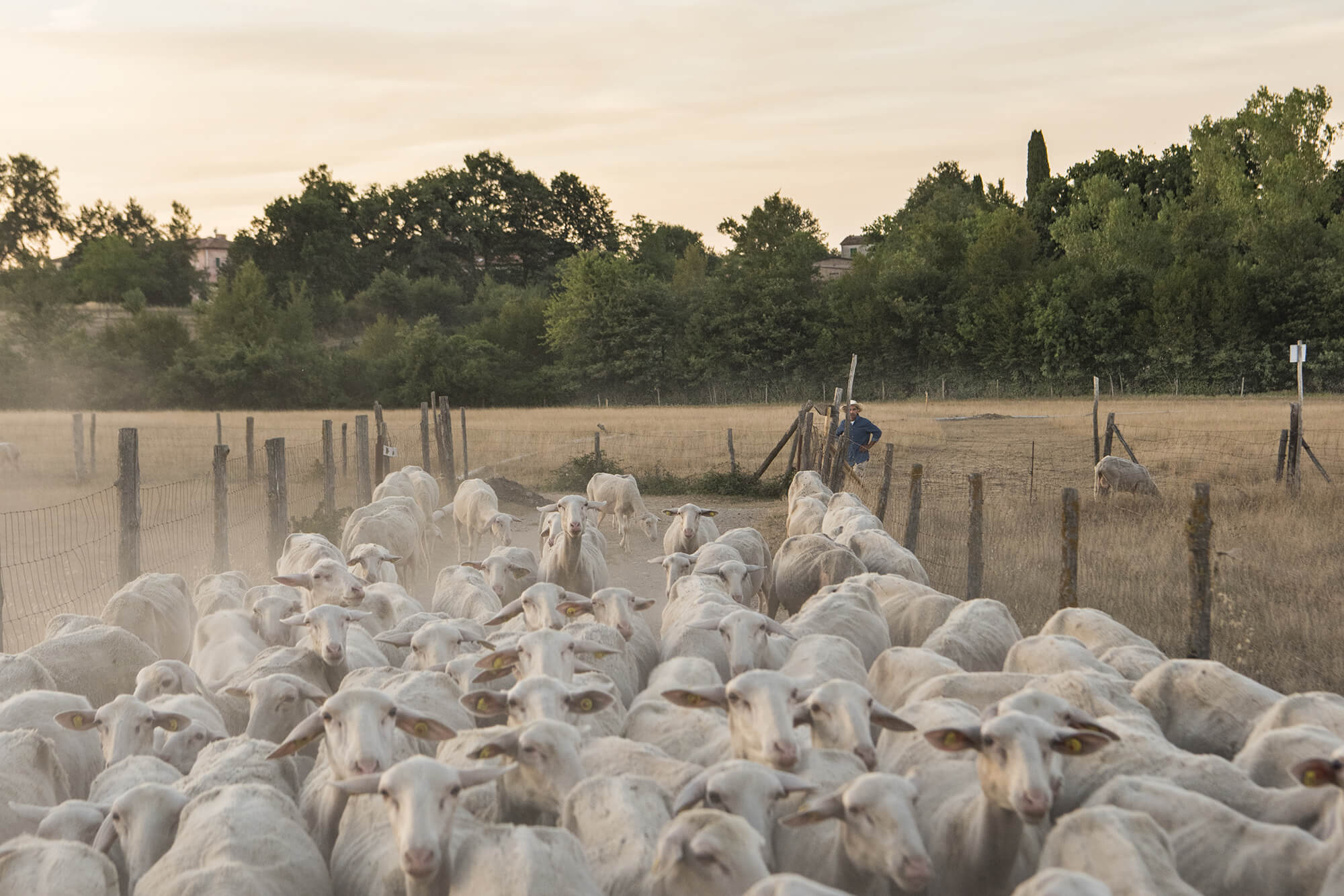 Borgo Santo Pietro - Seasonal bounty