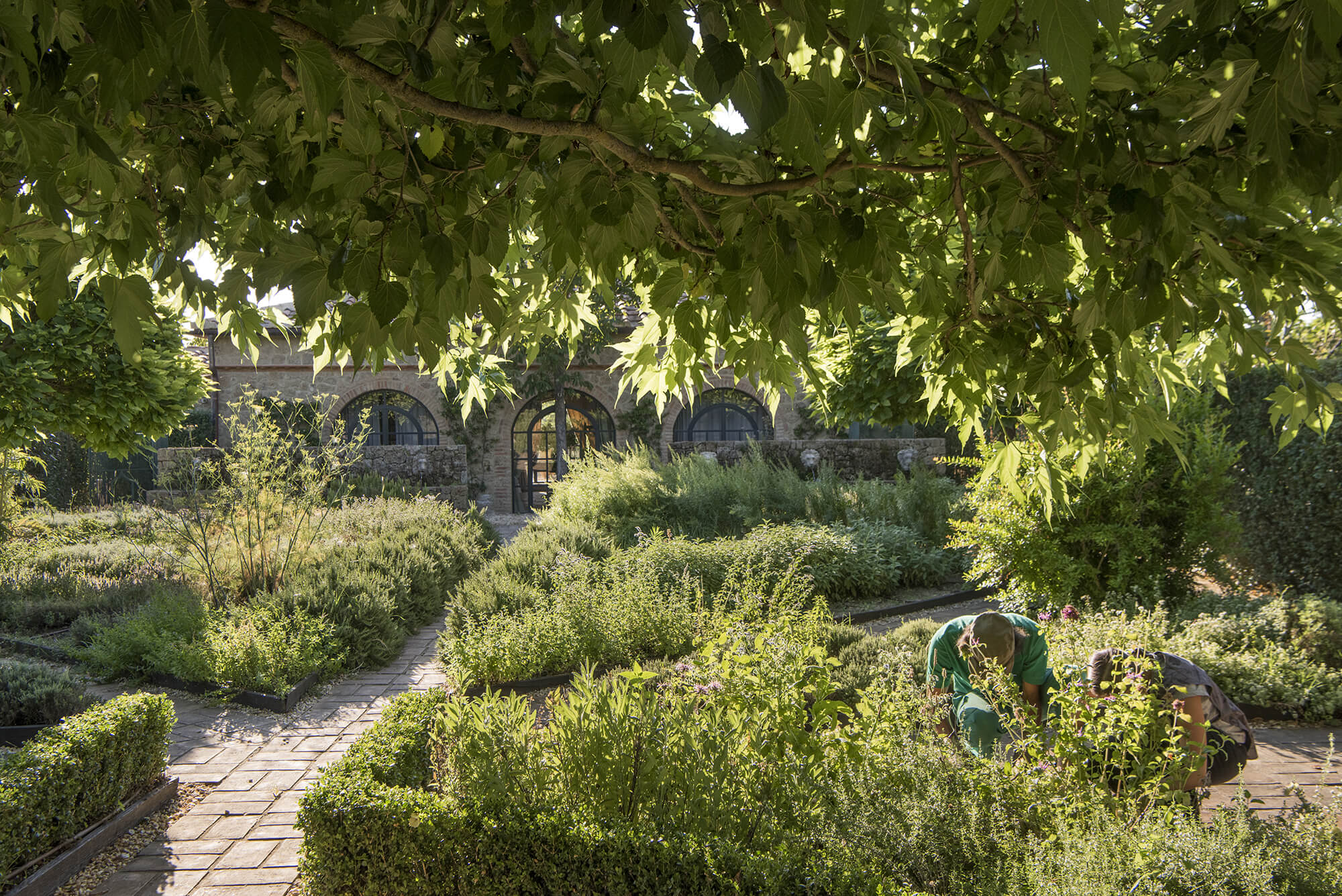 Borgo Santo Pietro - Healing gardens