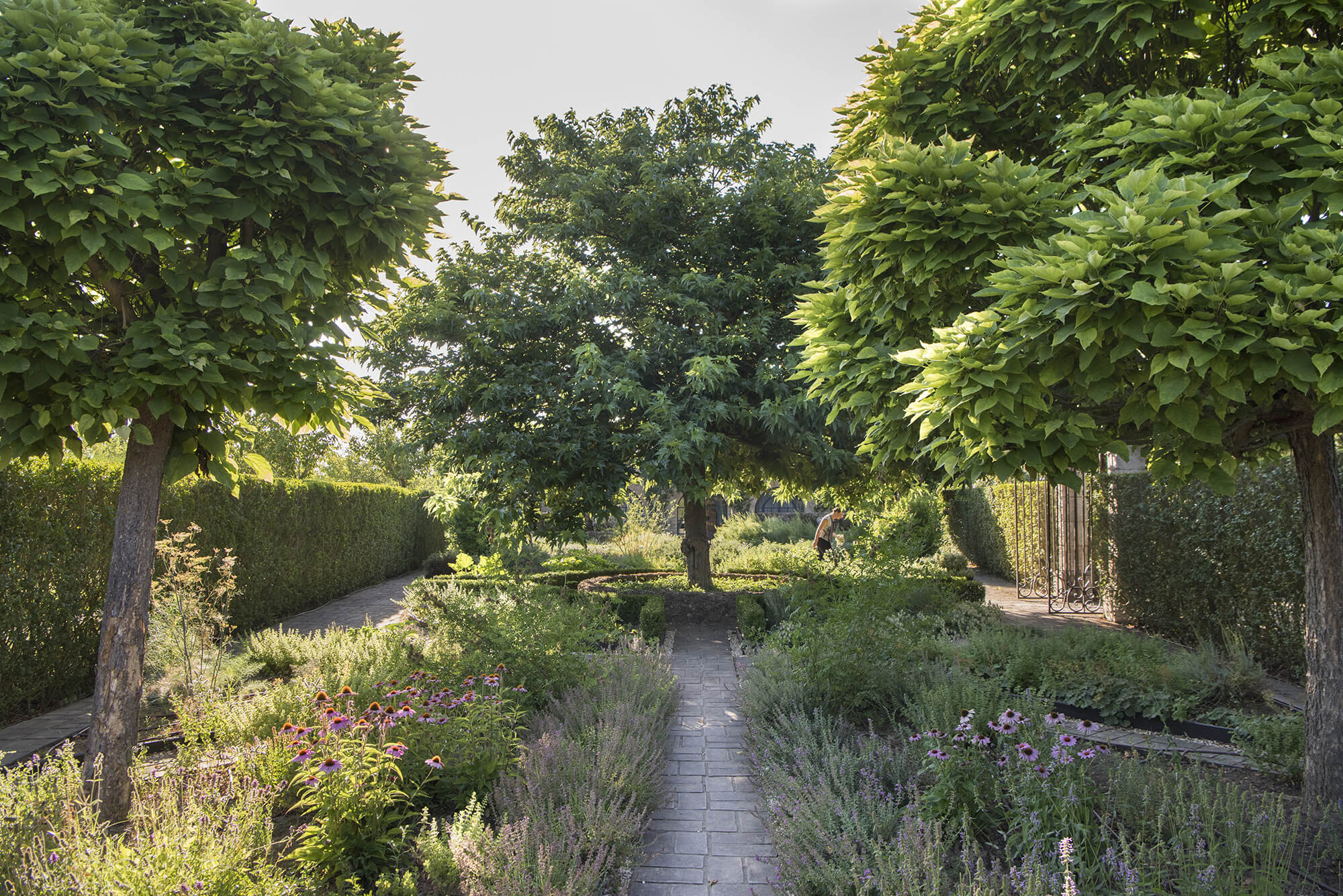 Borgo Santo Pietro - Healing gardens