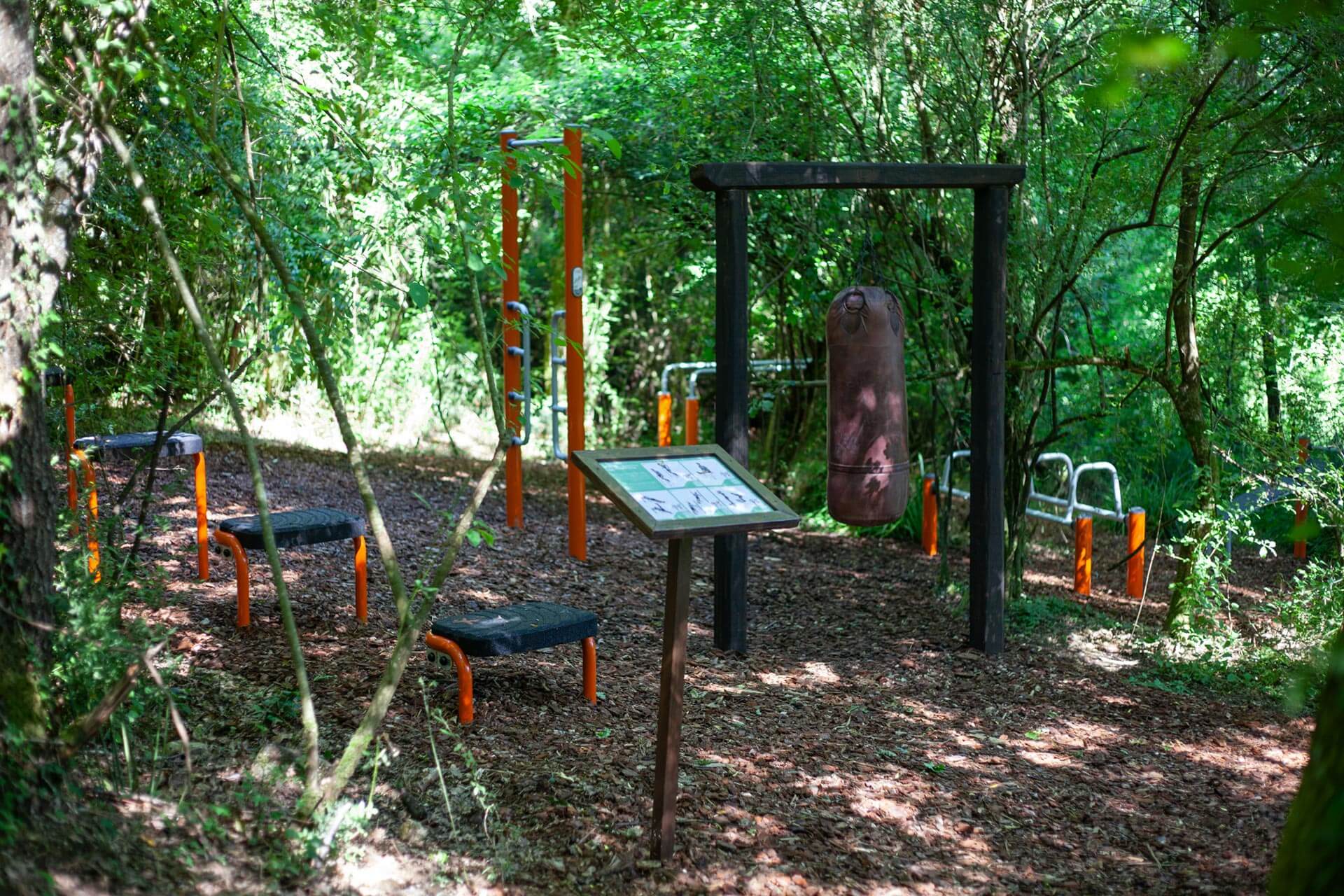 Forest Gym