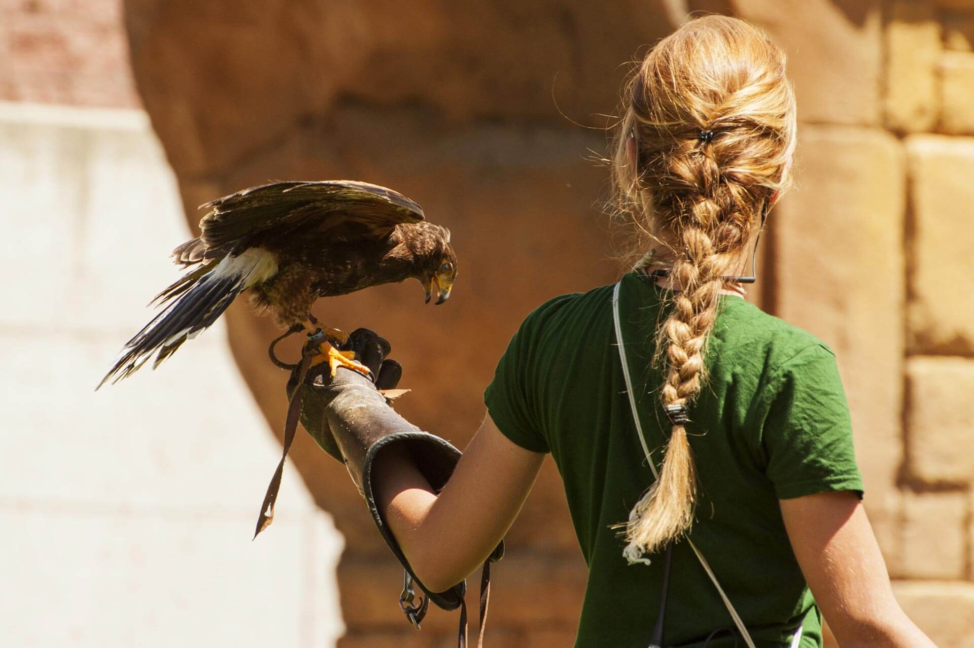 Borgo Santo Pietro - Activities - Adventure