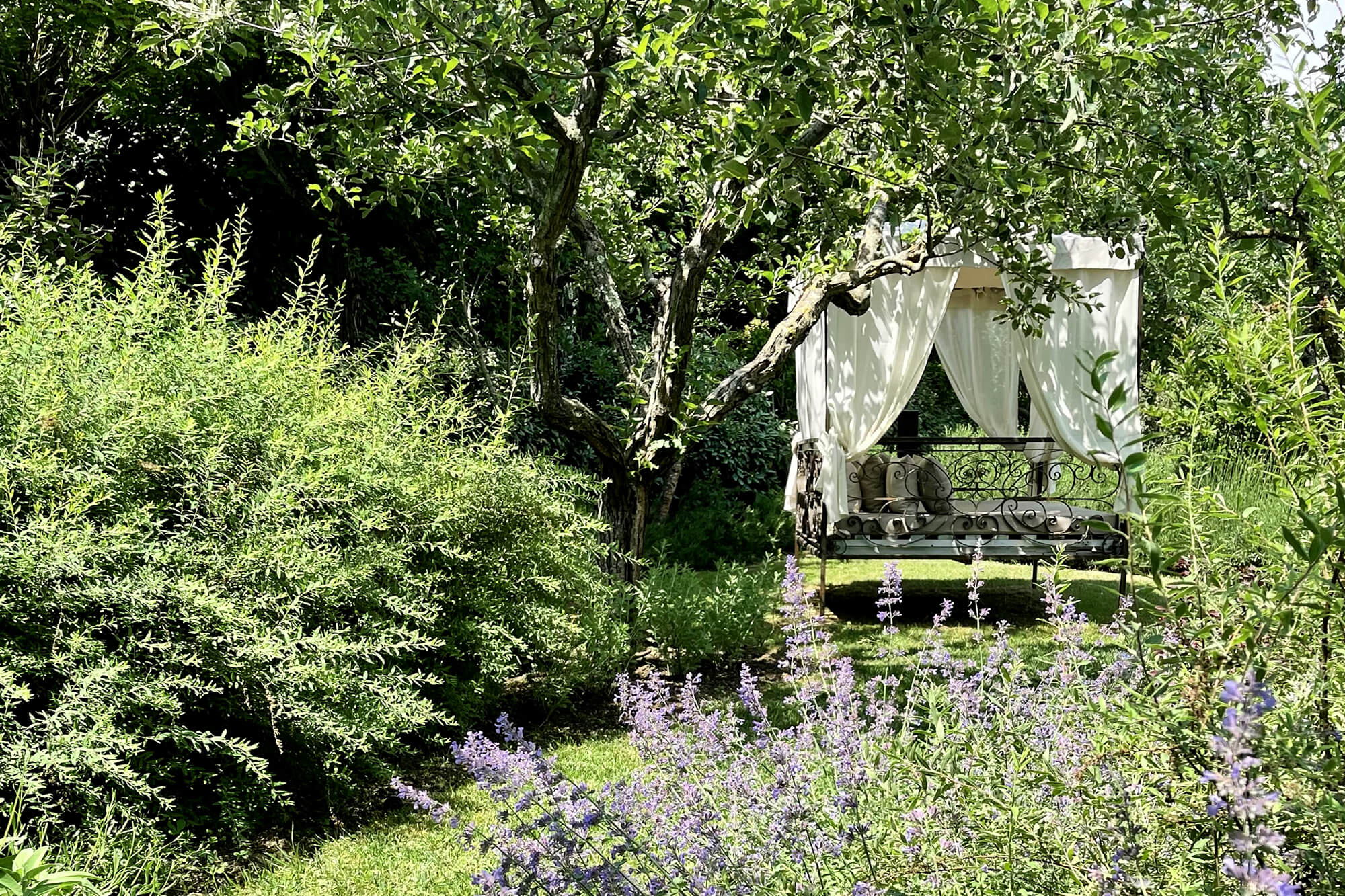 Borgo Santo Pietro - Garden tours