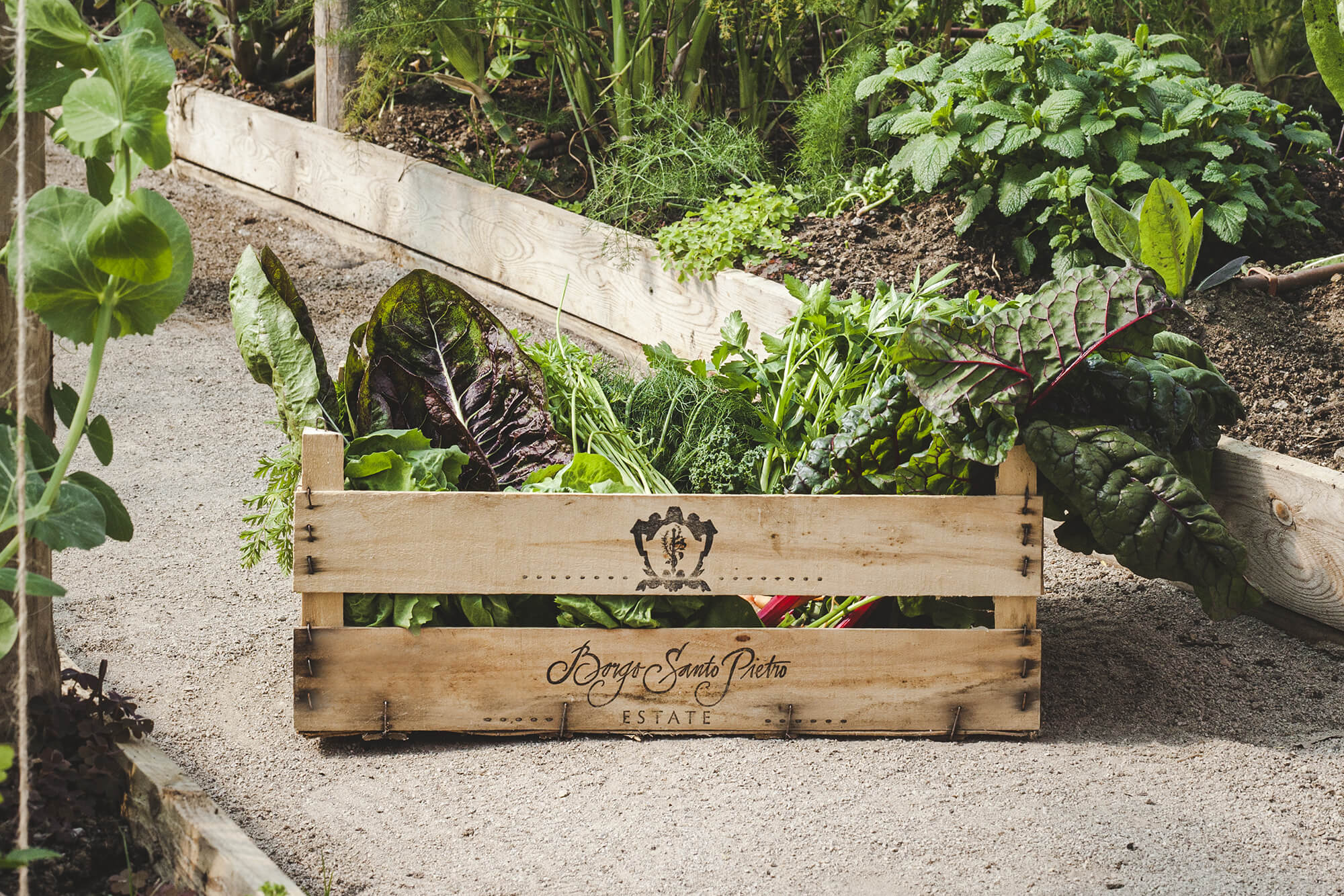 Borgo Santo Pietro - Seasonal bounty