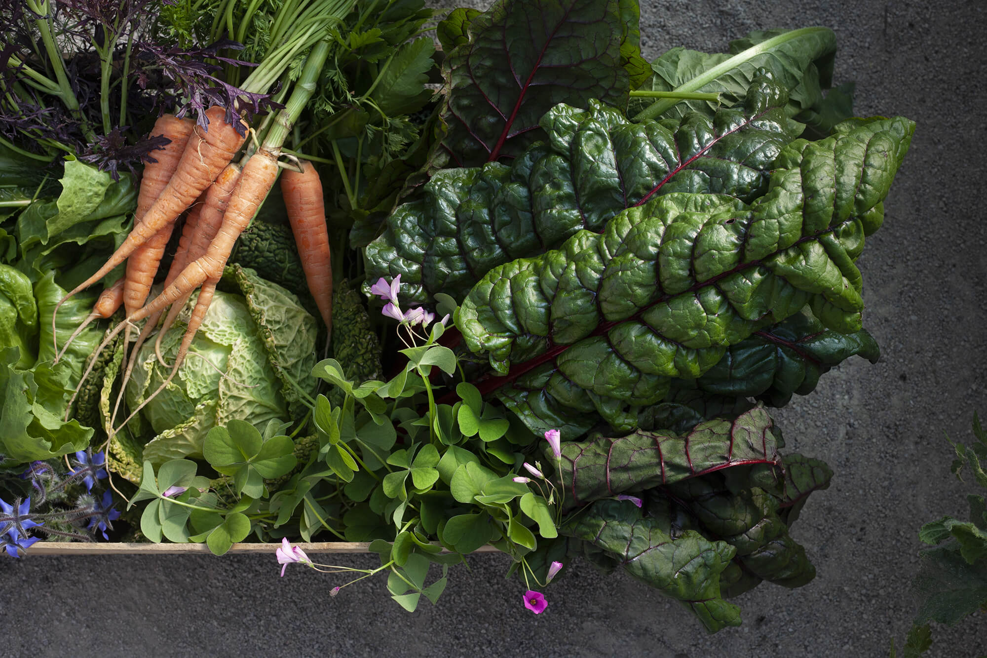 Borgo Santo Pietro - Seasonal bounty