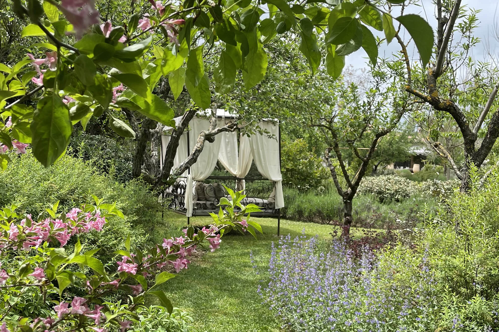 Borgo Santo Pietro - Our gardens