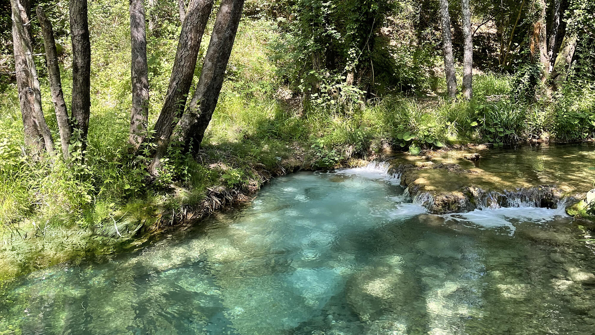 Borgo Santo Pietro - Into the wilderness