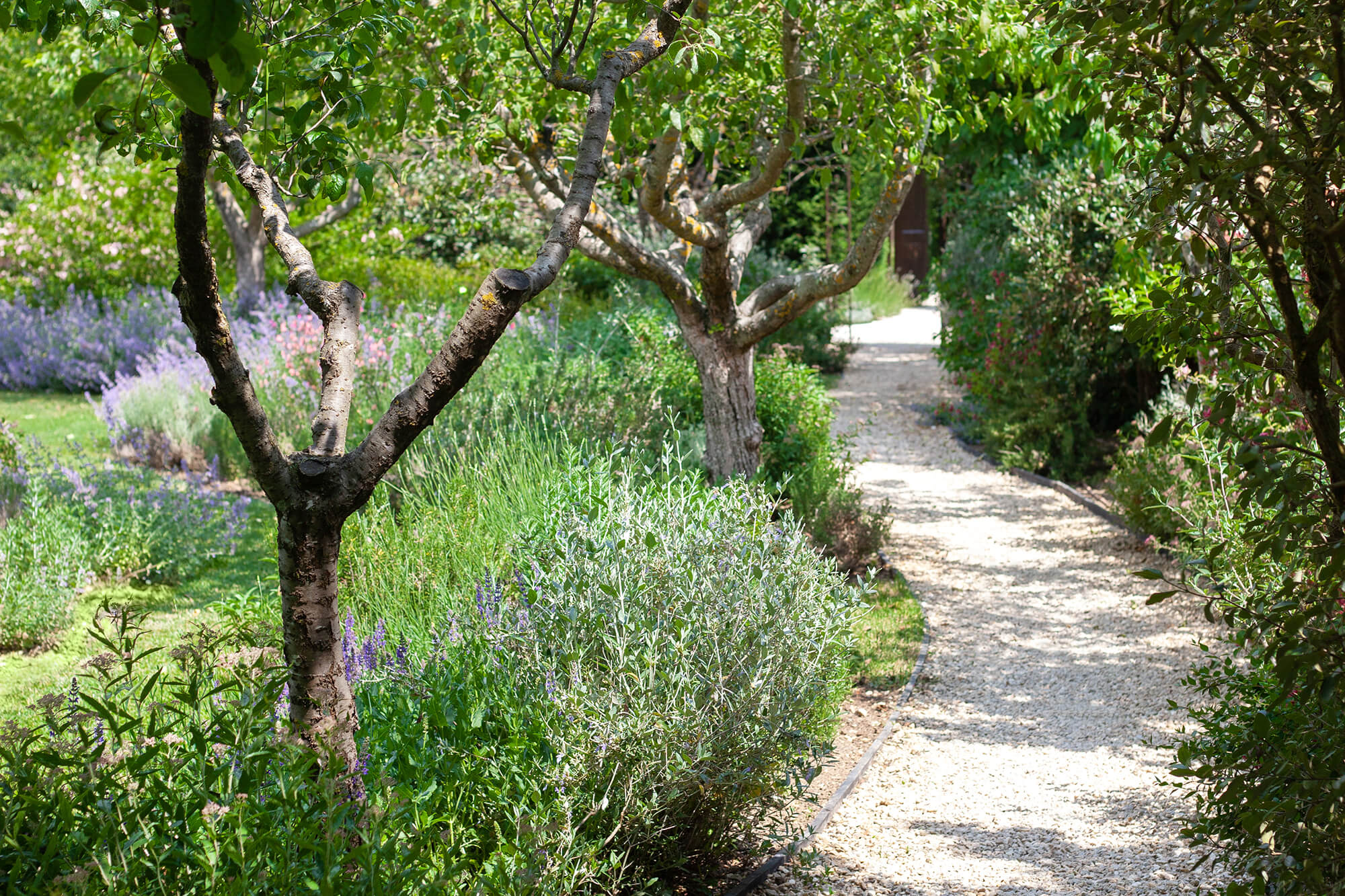 Borgo Santo Pietro - Garden tours