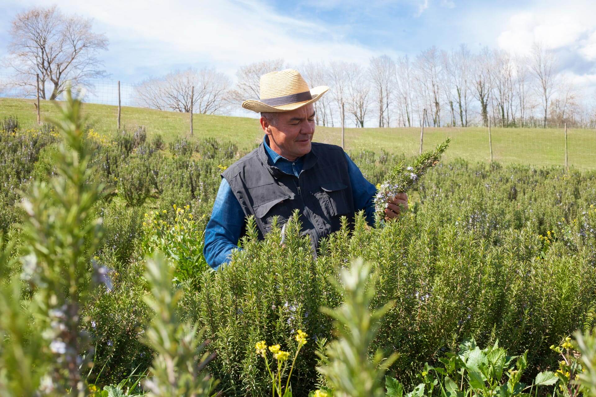 Herb Walks & Garden Walks
