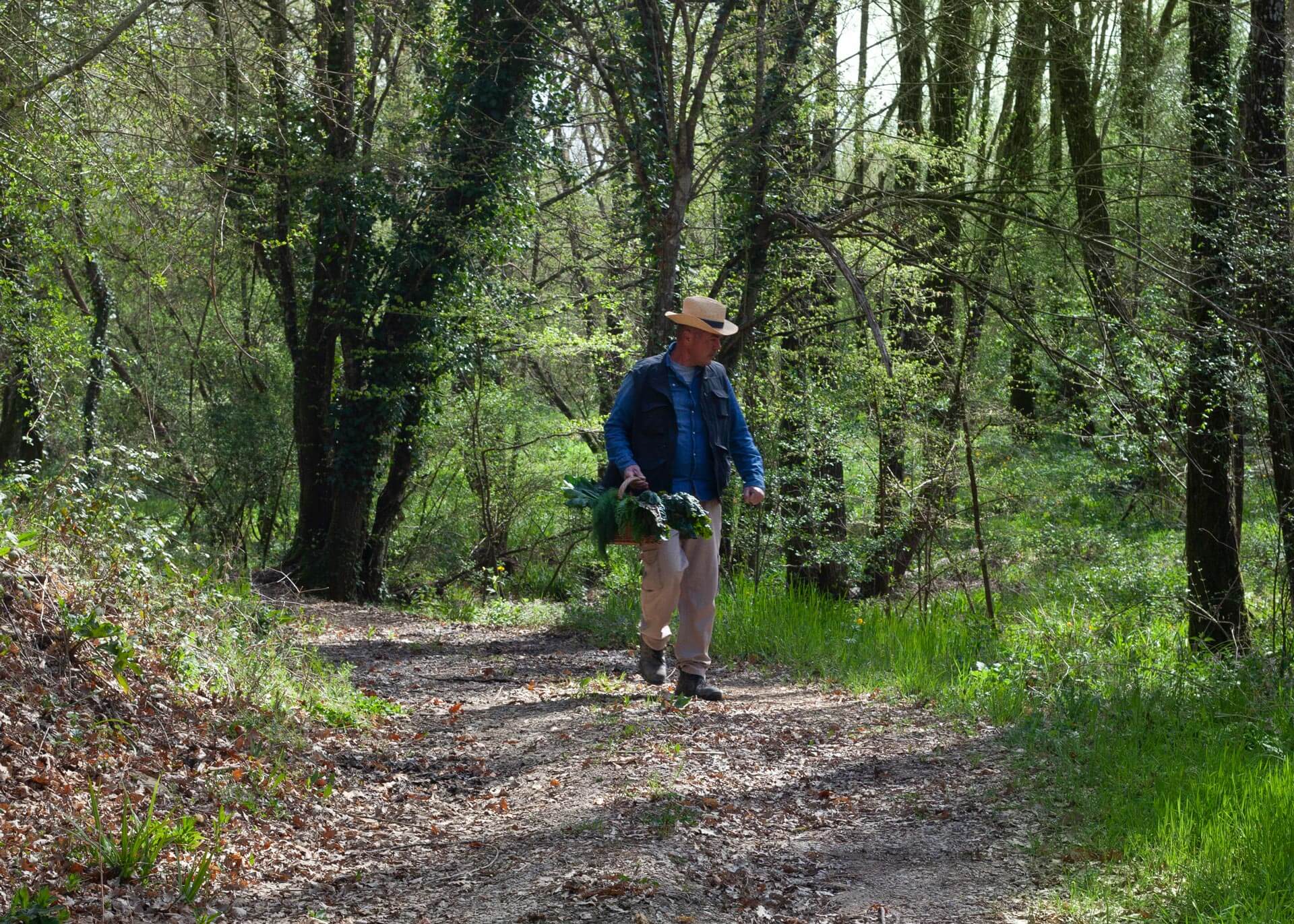 Borgo Santo Pietro - Activities - wellness