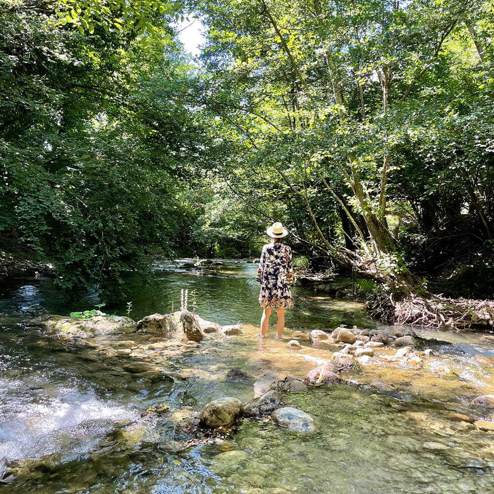 Guided Meditation Walks & Forest Bathing